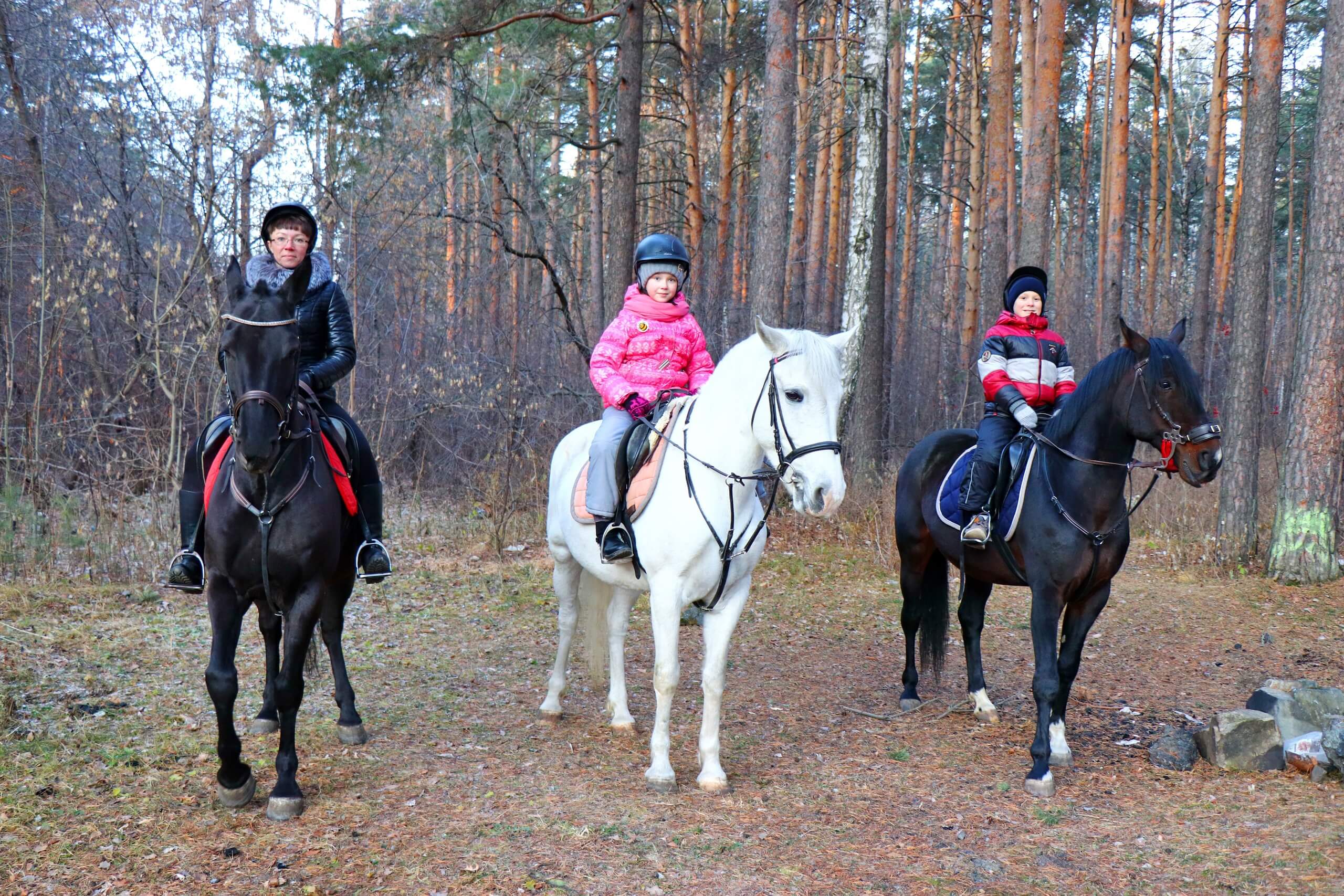 Конные прогулки #в Барнауле#