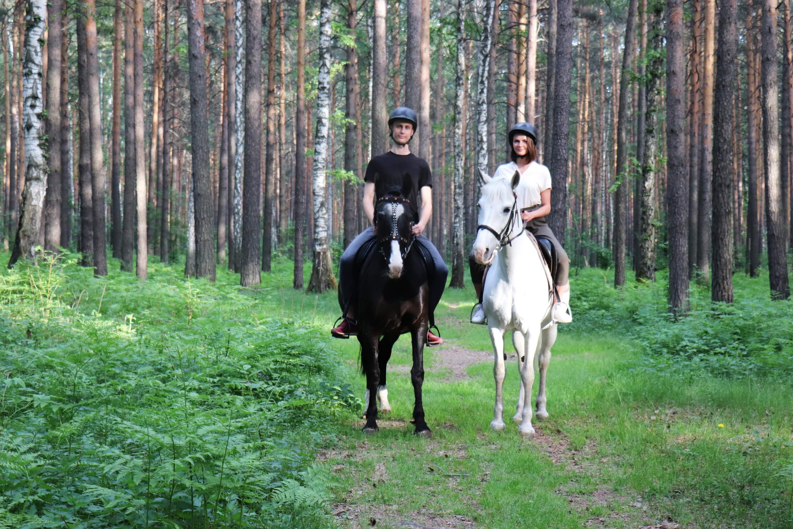 Конная прогулка в лесу
