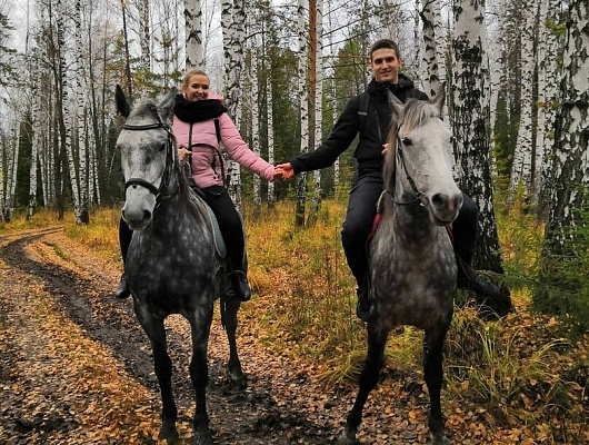 Конная прогулка для двоих в Барнауле. Подарочные сертификаты Ultra Подарки. Купить оригинальный подарок или подарочный сертификат на Конная прогулка для двоих в Барнауле. Сервис UltraPodarki.ru 8-800-505-9530. Катание на лошадях, Прогулка на лошади, Прогулка на лошадях для двоих, Конная прогулка для двоих, конный клуб, Конный клуб, конная прогулка, конная прогулка в Барнауле