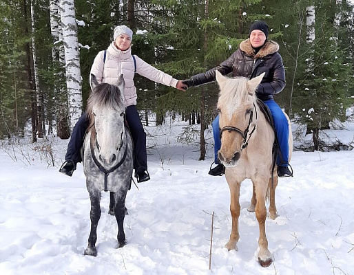 Конная прогулка для двоих в Барнауле. Подарочные сертификаты Ultra Подарки. Купить оригинальный подарок или подарочный сертификат на Конная прогулка для двоих в Барнауле. Сервис UltraPodarki.ru 8-800-505-9530. Катание на лошадях, Прогулка на лошади, Прогулка на лошадях для двоих, Конная прогулка для двоих, конный клуб, Конный клуб, конная прогулка, конная прогулка в Барнауле