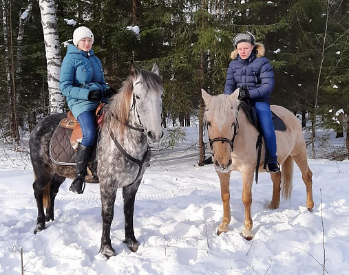 Конная прогулка для двоих в Барнауле. Подарочные сертификаты Ultra Подарки. Купить оригинальный подарок или подарочный сертификат на Конная прогулка для двоих в Барнауле. Сервис UltraPodarki.ru 8-800-505-9530. Катание на лошадях, Прогулка на лошади, Прогулка на лошадях для двоих, Конная прогулка для двоих, конный клуб, Конный клуб, конная прогулка, конная прогулка в Барнауле