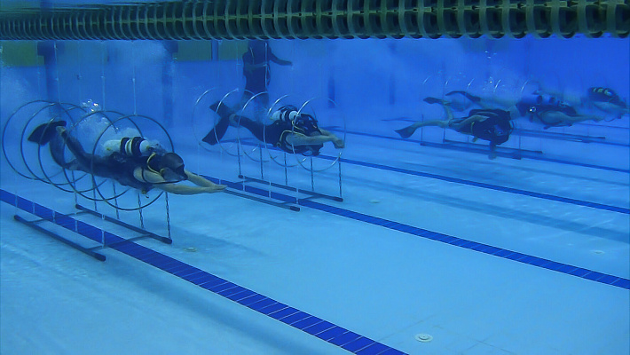 Дайвинг в Барнауле глубокое погружение с аквалангом. Ultra Подарки. Дайвинг. Купить дайвинг в Барнауле, обучение глубокому погружению, арендовать акваланг и подводное снаряжение. UltraPodarki.ru 8 800 505 95 30. дайвинг погружение Барнаул, подводное плавание Барнаул, дайвинг клуб Барнаул, подарочные сертификаты, глубокое погружение, погружение с аквалангом Барнаул, дайвинг центр Барнаул, купить дайвинг Барнаул