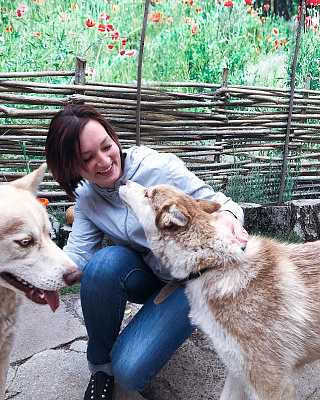 Катание на хаски в Барнауле. Ultra Подарки. Катание на хаски в Барнауле. Попробуйте Катание на хаски. Сервис: UltraPodarki.ru 8 800 505 95 30. Катание на хаски Барнаул, Катание на хаски в Барнауле, хаски, животные в Барнауле, 