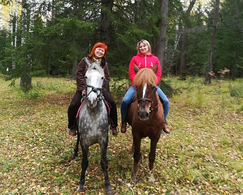 Конная прогулка для двоих в Барнауле. Подарочные сертификаты Ultra Подарки. Купить оригинальный подарок или подарочный сертификат на Конная прогулка для двоих в Барнауле. Сервис UltraPodarki.ru 8-800-505-9530. Катание на лошадях, Прогулка на лошади, Прогулка на лошадях для двоих, Конная прогулка для двоих, конный клуб, Конный клуб, конная прогулка, конная прогулка в Барнауле