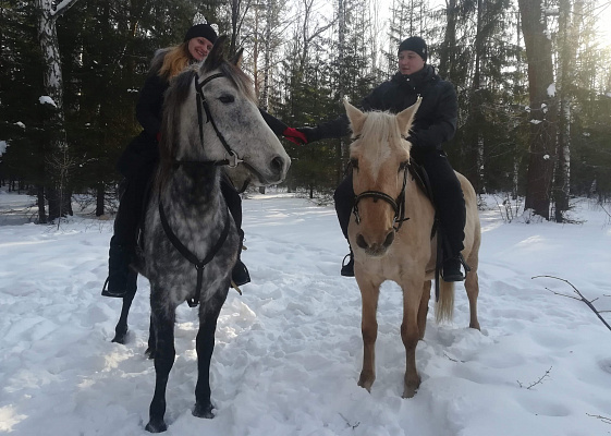 Конная прогулка для двоих в Барнауле. Подарочные сертификаты Ultra Подарки. Купить оригинальный подарок или подарочный сертификат на Конная прогулка для двоих в Барнауле. Сервис UltraPodarki.ru 8-800-505-9530. Катание на лошадях, Прогулка на лошади, Прогулка на лошадях для двоих, Конная прогулка для двоих, конный клуб, Конный клуб, конная прогулка, конная прогулка в Барнауле