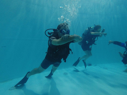 Дайвинг в Барнауле глубокое погружение с аквалангом. Ultra Подарки. Дайвинг. Купить дайвинг в Барнауле, обучение глубокому погружению, арендовать акваланг и подводное снаряжение. UltraPodarki.ru 8 800 505 95 30. дайвинг погружение Барнаул, подводное плавание Барнаул, дайвинг клуб Барнаул, подарочные сертификаты, глубокое погружение, погружение с аквалангом Барнаул, дайвинг центр Барнаул, купить дайвинг Барнаул