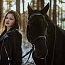 Конные прогулки в Барнауле. Подарочные сертификаты Ultra Подарки. Купить оригинальный подарок или подарочный сертификат на Конные прогулки в Барнауле. Сервис UltraPodarki.ru 8-800-505-9530. Катание на лошадях, Прогулка на лошади, Прогулка на лошадях для двоих, Конные прогулки, конный клуб, Конный клуб, конная прогулка, конная прогулка в Барнауле