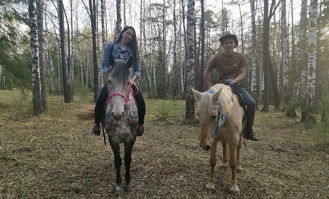 Конная прогулка для двоих в Барнауле. Подарочные сертификаты Ultra Подарки. Купить оригинальный подарок или подарочный сертификат на Конная прогулка для двоих в Барнауле. Сервис UltraPodarki.ru 8-800-505-9530. Катание на лошадях, Прогулка на лошади, Прогулка на лошадях для двоих, Конная прогулка для двоих, конный клуб, Конный клуб, конная прогулка, конная прогулка в Барнауле